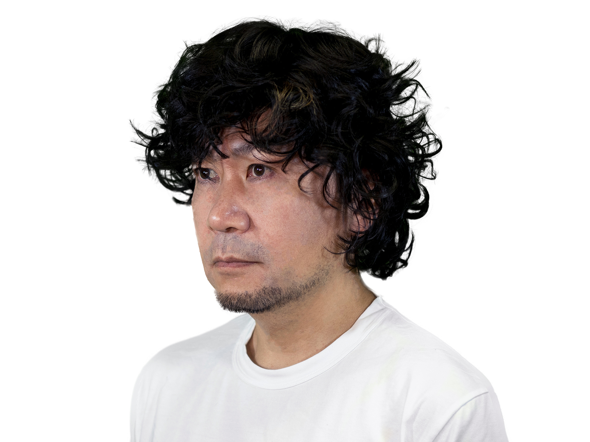 ag1006ワイルドナイト画像